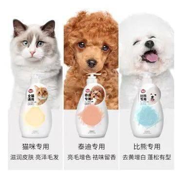 欧美萌宠用品图片,萌宠生活必备神器